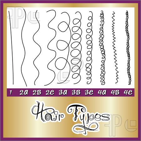Hair-Types-1709658